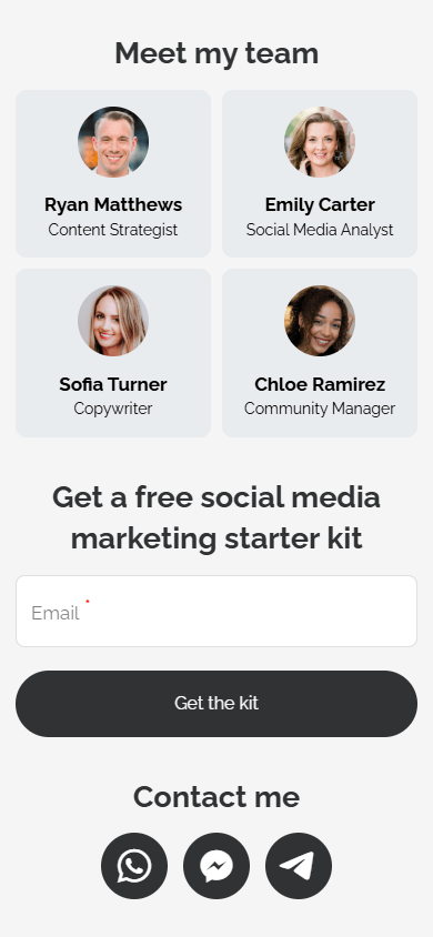 The bottom of the digital marketer’s Taplink page featuring Text, Media and text, Form and payments, and Messaging apps blocks