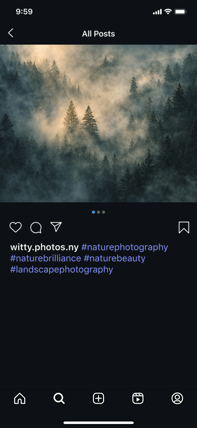 A photographer’s photo of a foggy forest with hashtags related to nature on Instagram